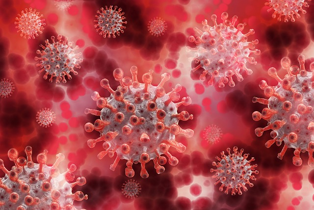 Free Coronavirus Virus illustration and picture