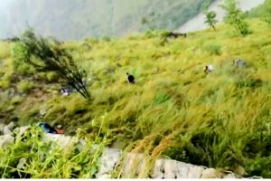 पाँचथरमा बाेलेराे दुर्घटनामा ५ काे मृत्यु ६ घाईते